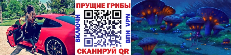 цены   Абакан  MEGA рабочий сайт  Псилоцибиновые грибы Psilocybe 