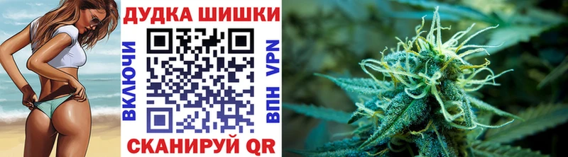 Канабис сатива Абакан